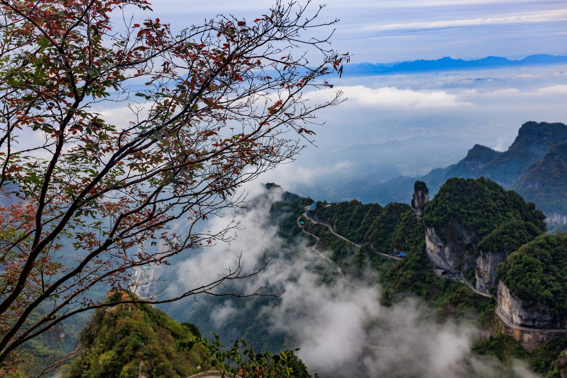 Zhangjiajie sandstone peaks natural scenery destination